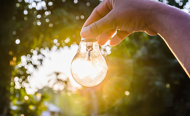 Eine Hand hält eine Glühbirne in der Natur, die von der Sonne erleuchtet wird